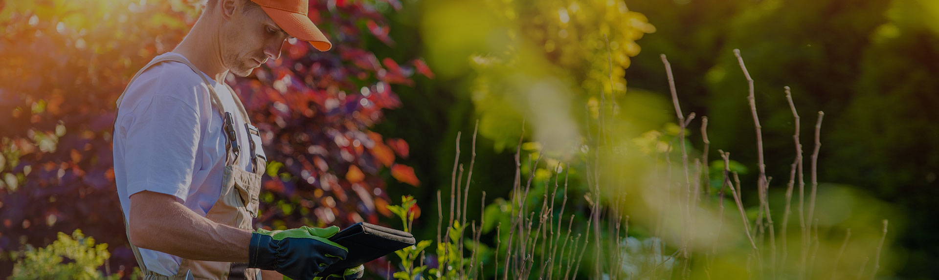 Landscaper looking at a tablet in a yard.
